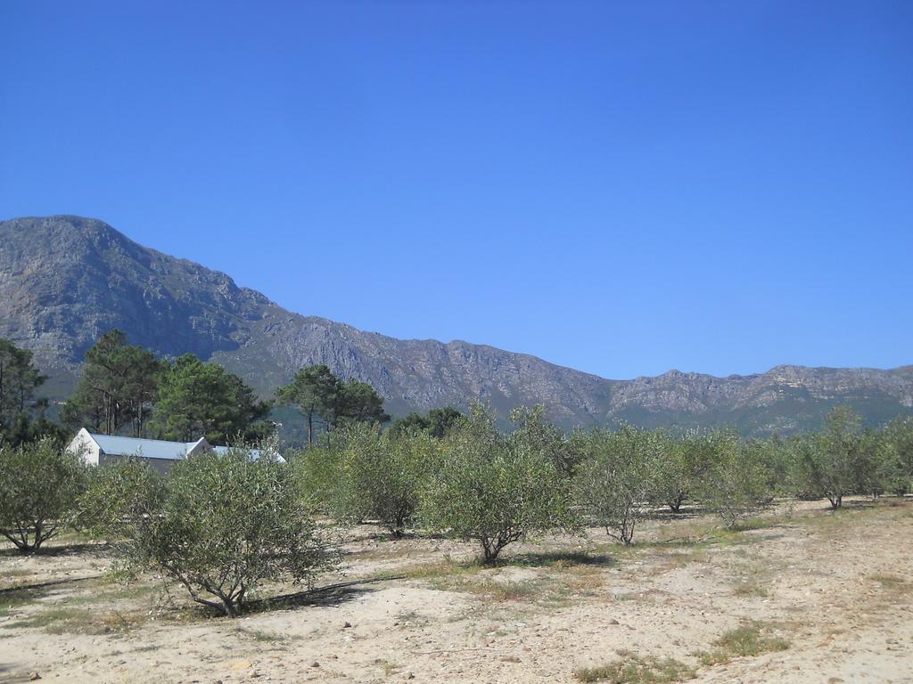 Auberge Clermont Franschhoek Kültér fotó