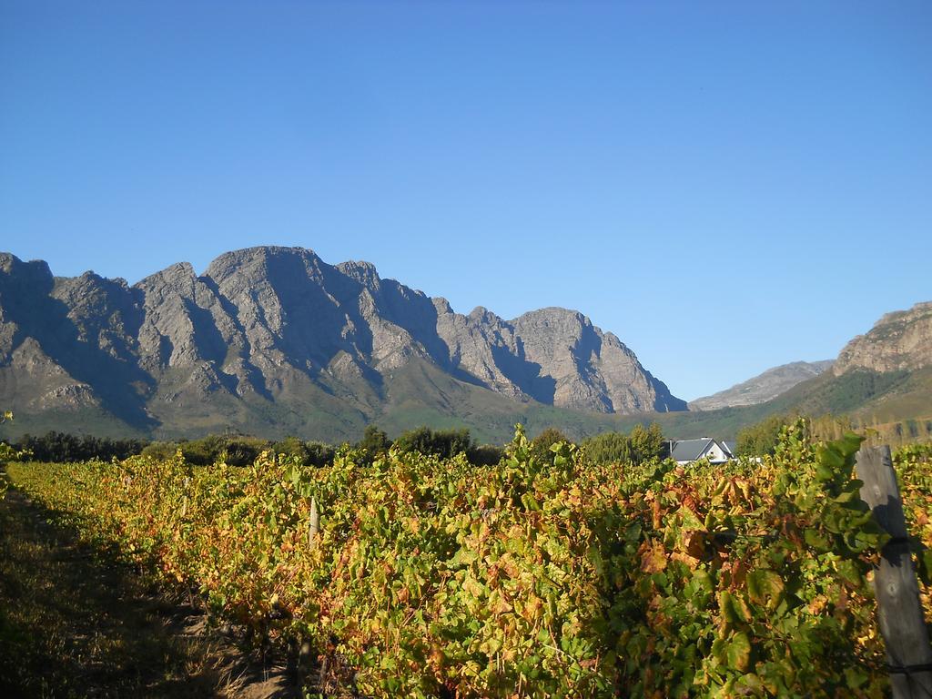 Auberge Clermont Franschhoek Kültér fotó