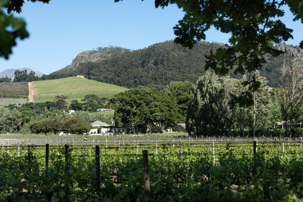 Auberge Clermont Franschhoek Kültér fotó