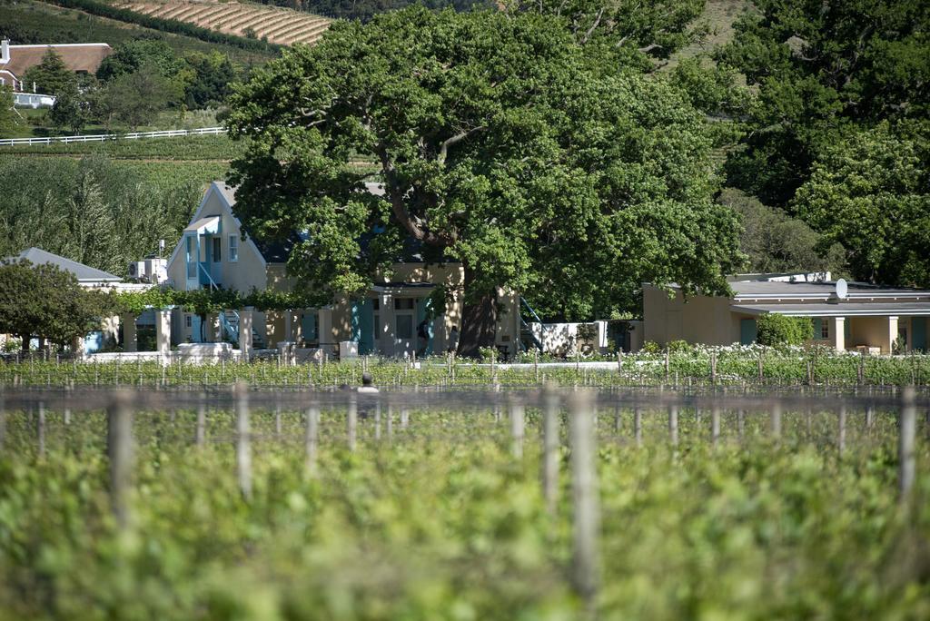 Auberge Clermont Franschhoek Kültér fotó