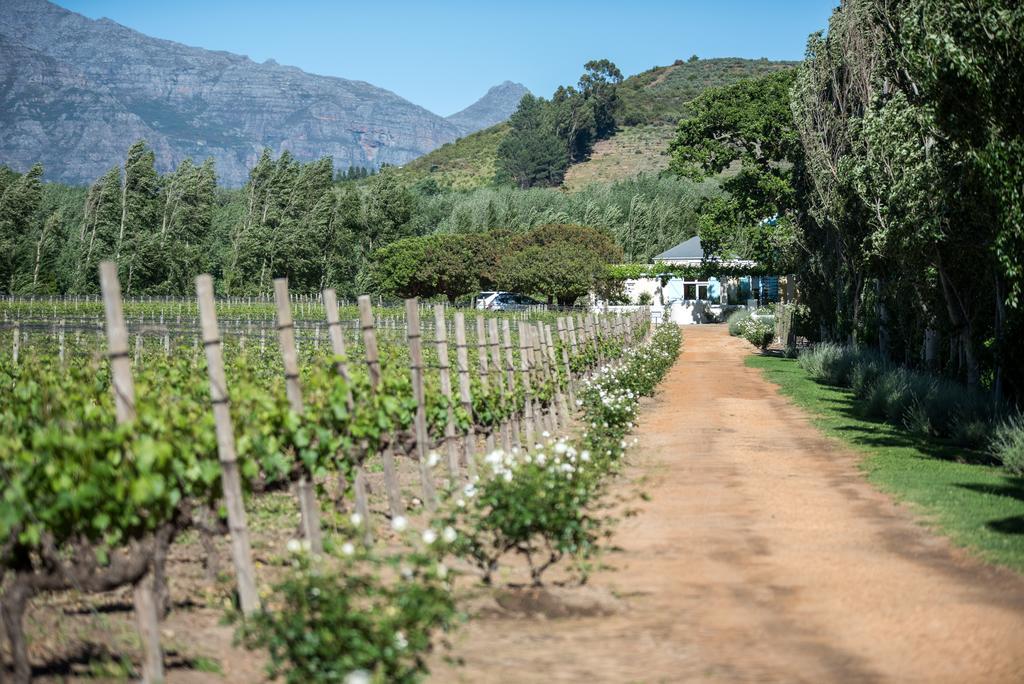 Auberge Clermont Franschhoek Kültér fotó