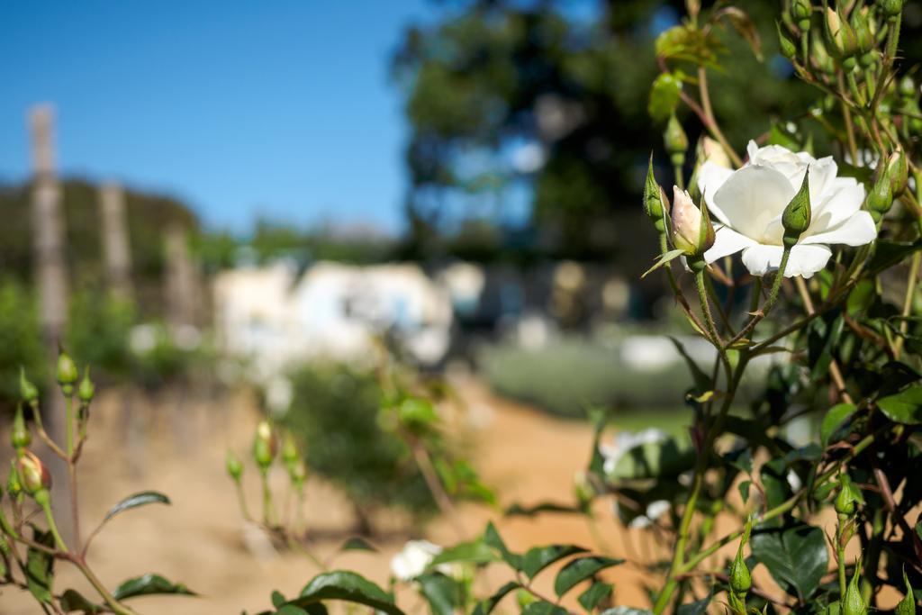 Auberge Clermont Franschhoek Kültér fotó