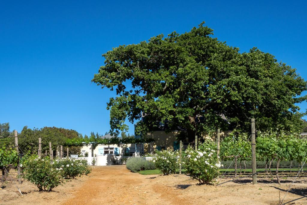 Auberge Clermont Franschhoek Kültér fotó
