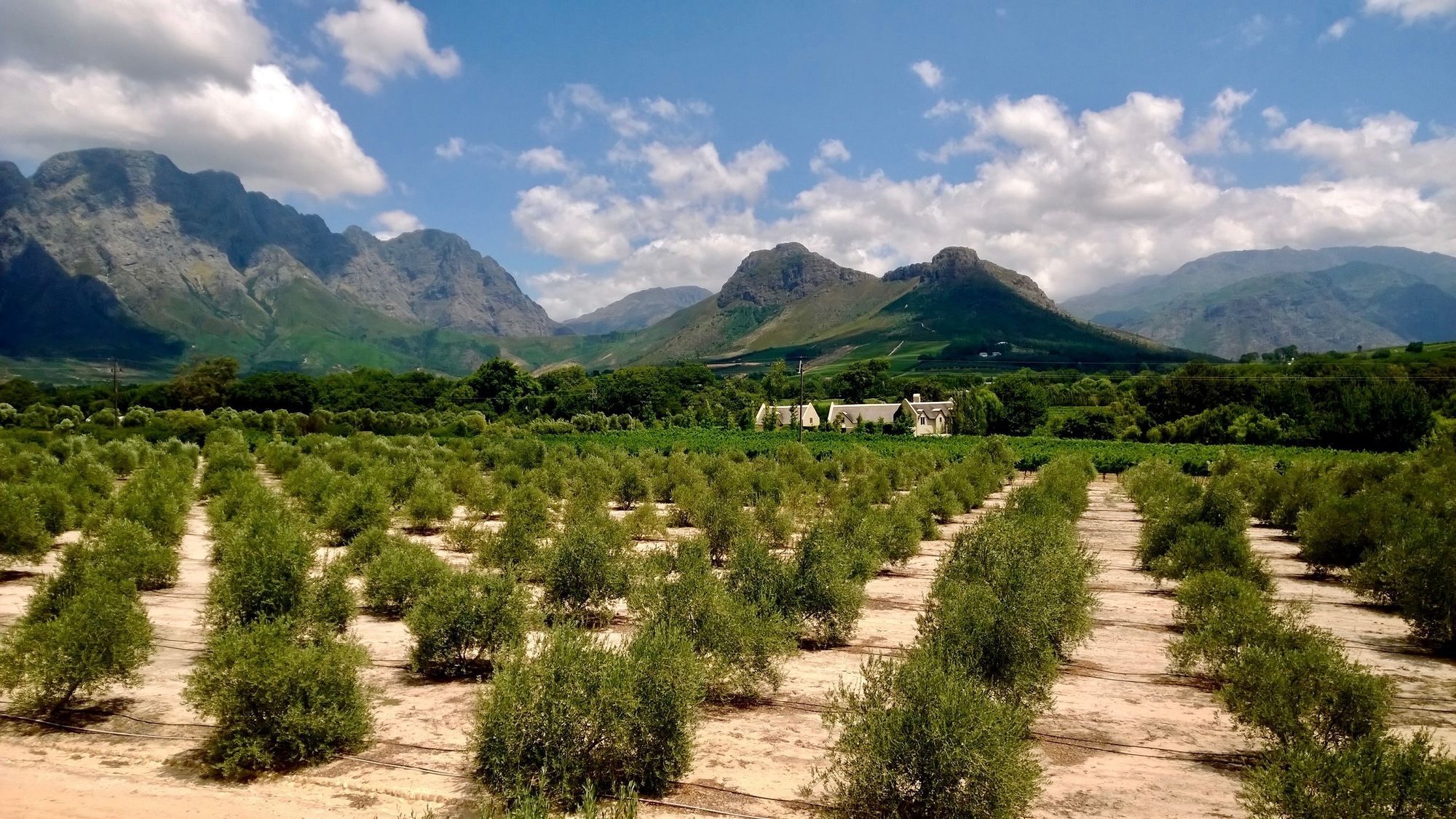 Auberge Clermont Franschhoek Kültér fotó