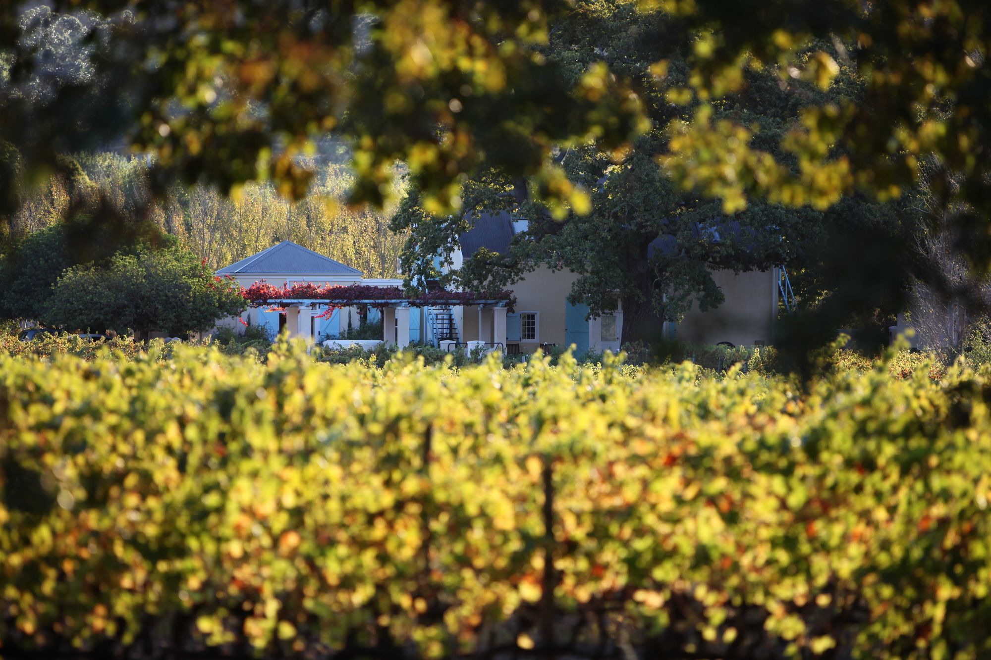 Auberge Clermont Franschhoek Kültér fotó