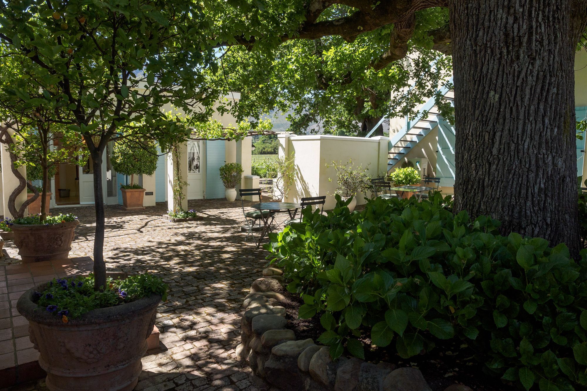 Auberge Clermont Franschhoek Kültér fotó