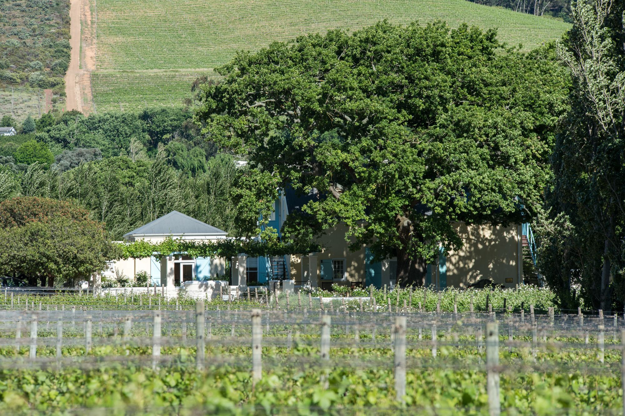 Auberge Clermont Franschhoek Kültér fotó